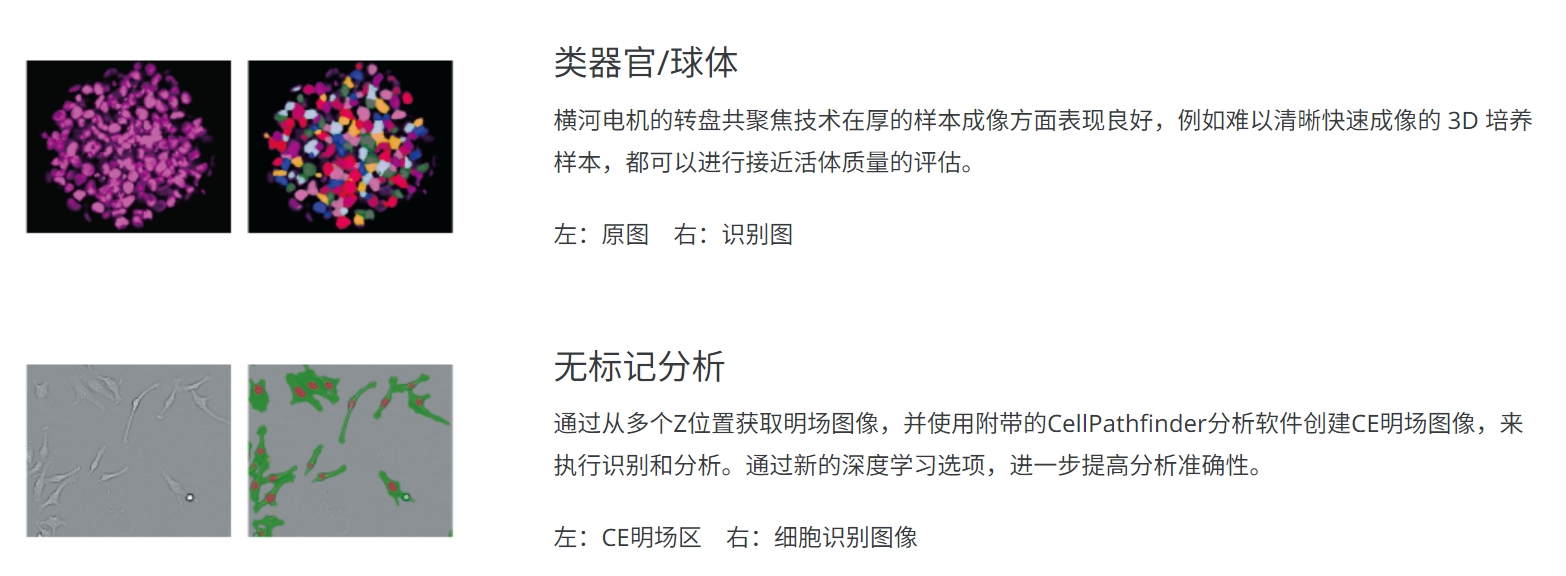研究领域与应用2.png