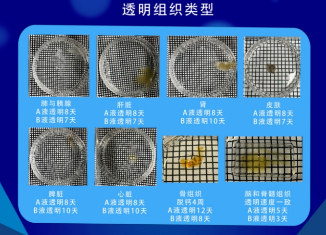 新建 BMP 图像.png