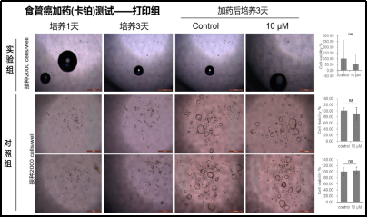 1782462313502750.png 图片2.png